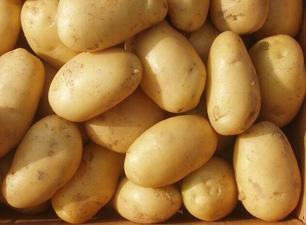 吴川膳食管理详解关于土豆的6个认识误区?的图片